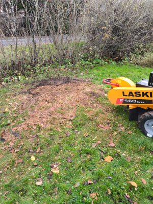 WhatsApp Image 2026-02-03 at 17.03.23 (4)